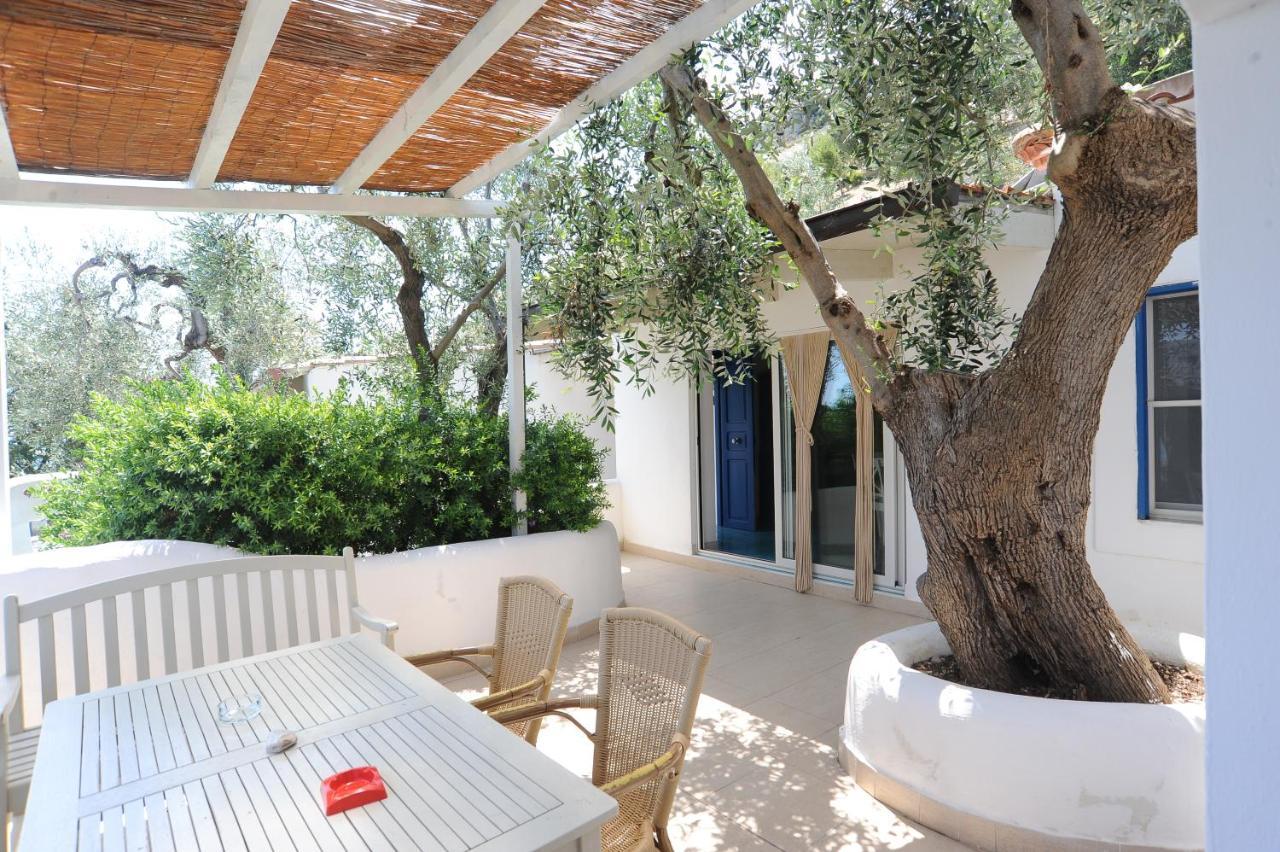 Case Vacanza Montesaraceno Mattinata Exterior photo